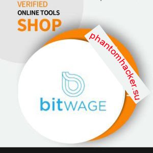 Bitwage business account with email access and $8k balance