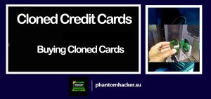 Read more about the article The World of Cloned Credit Cards: Buying Cloned Cards Demystified