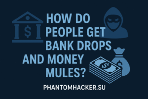 Read more about the article How Do People Get Bank Drops and Money Mules?